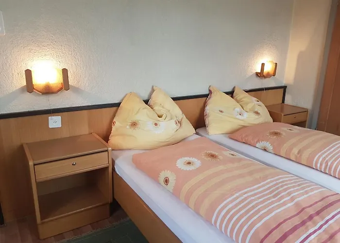 Simplon-blick Hotel *