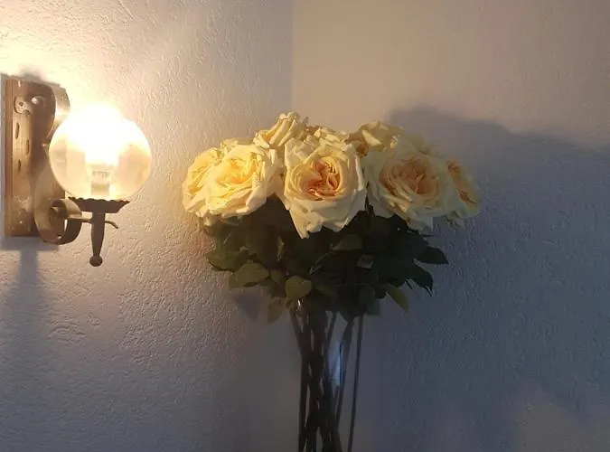 Simplon-blick Hotel Simplon